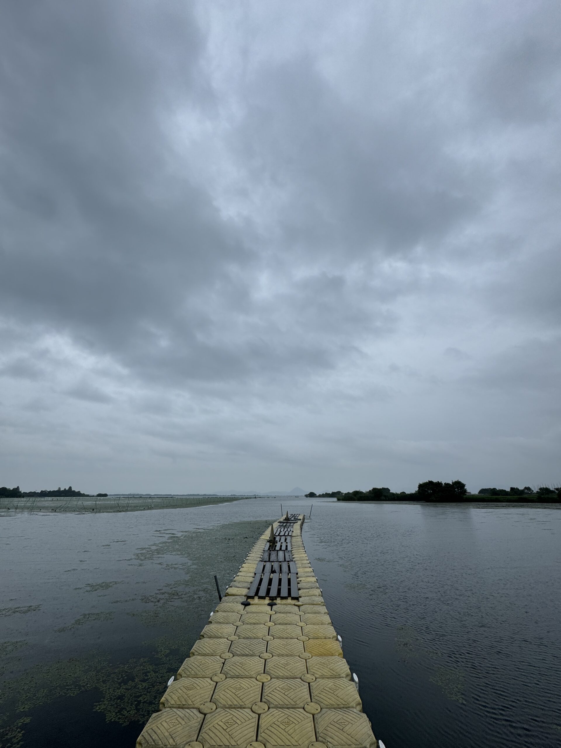 バストーナメント