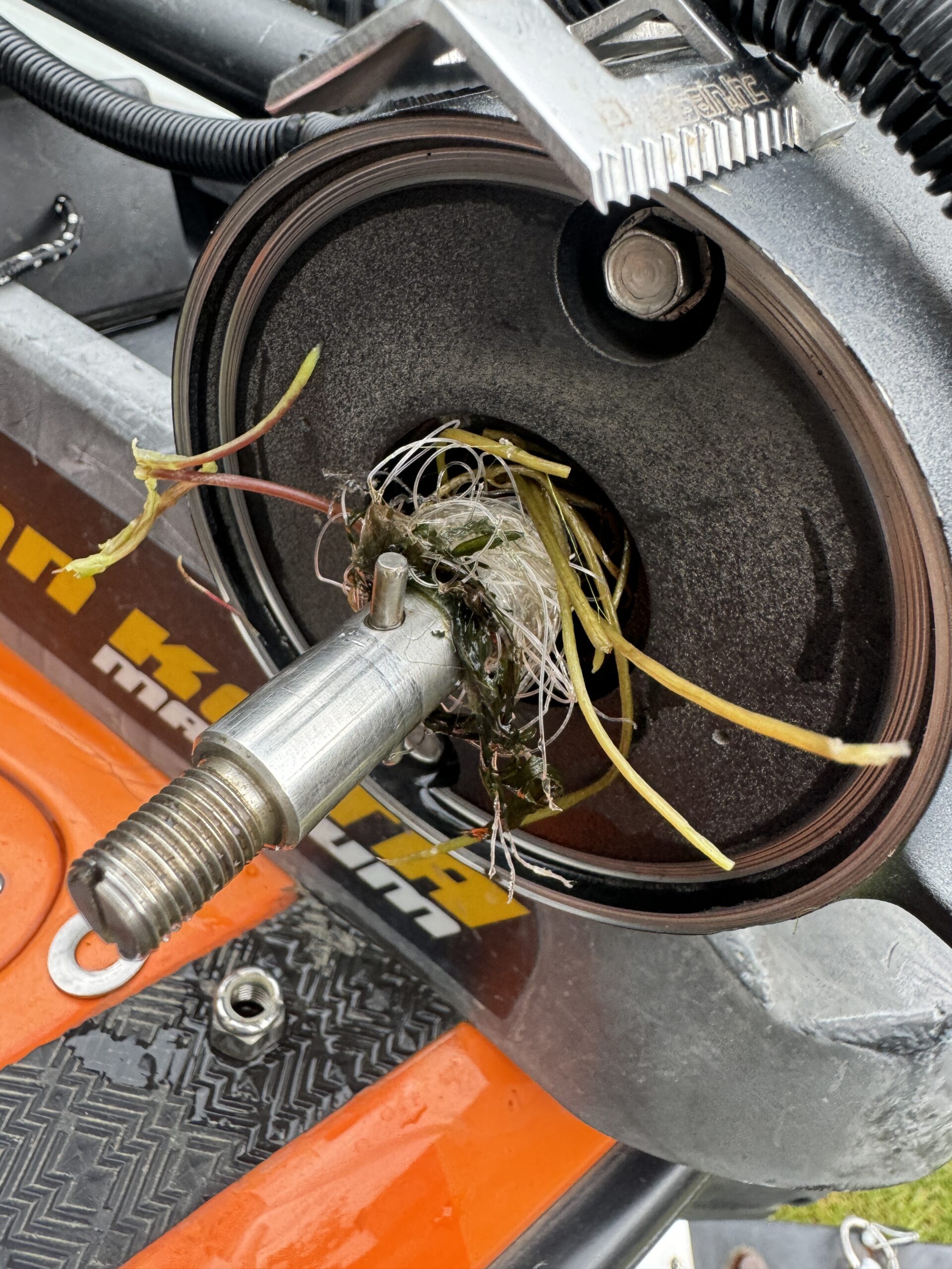 バストーナメント