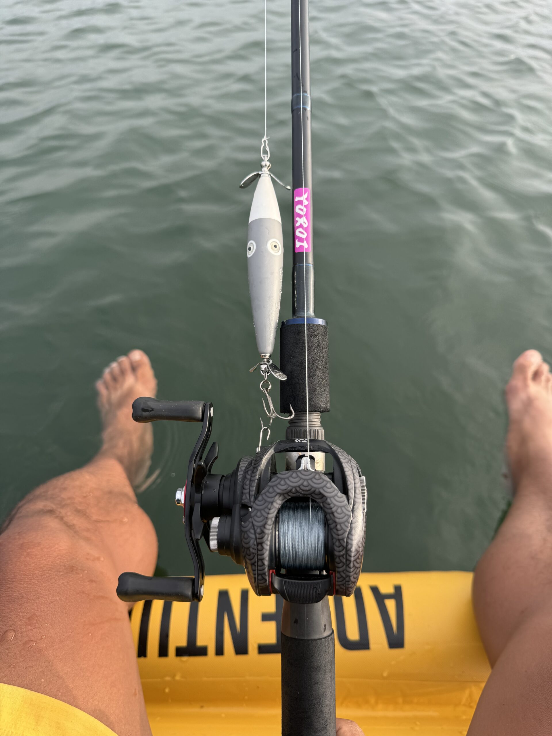 SUPフィッシング