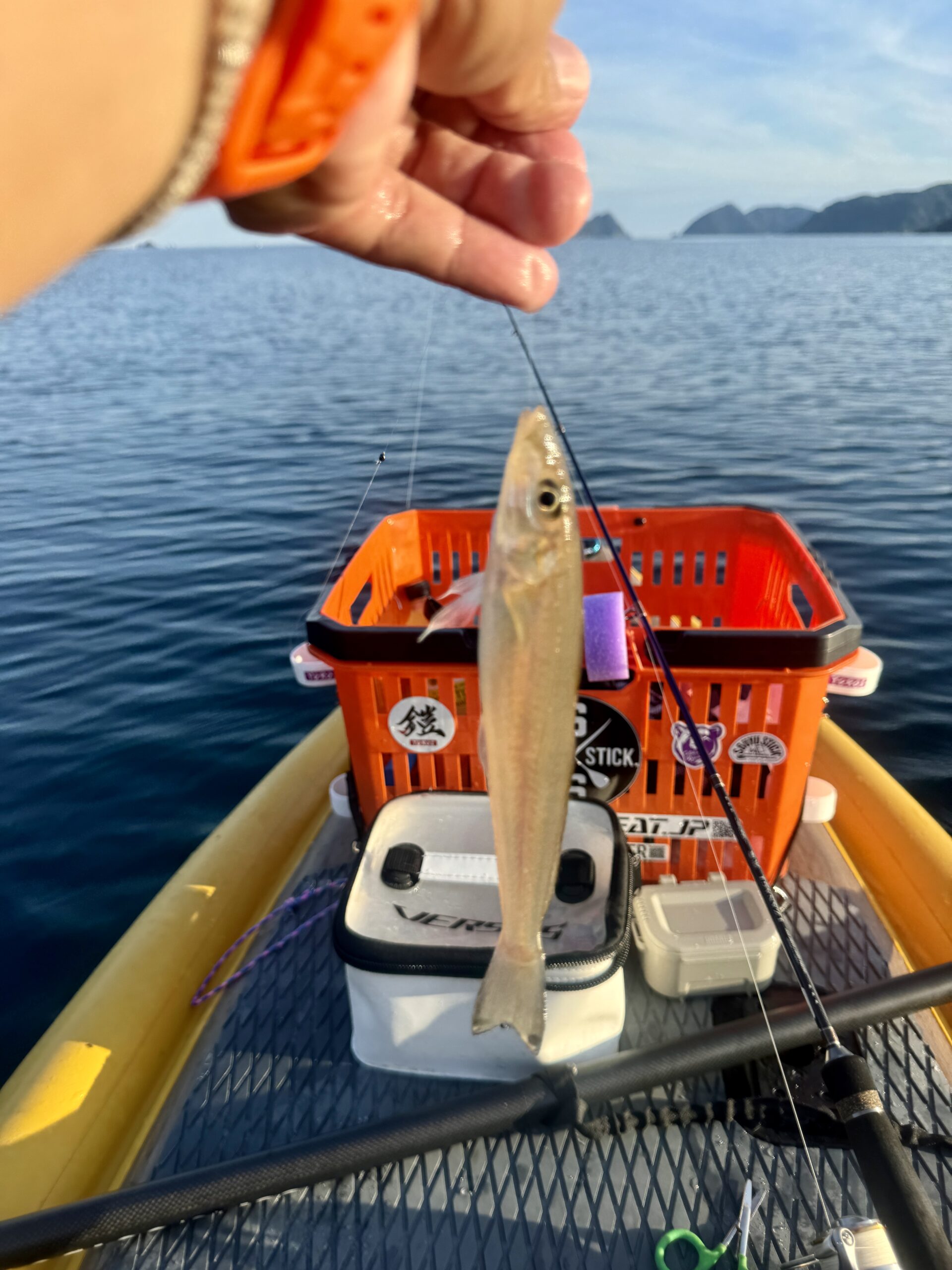 SUPフィッシング