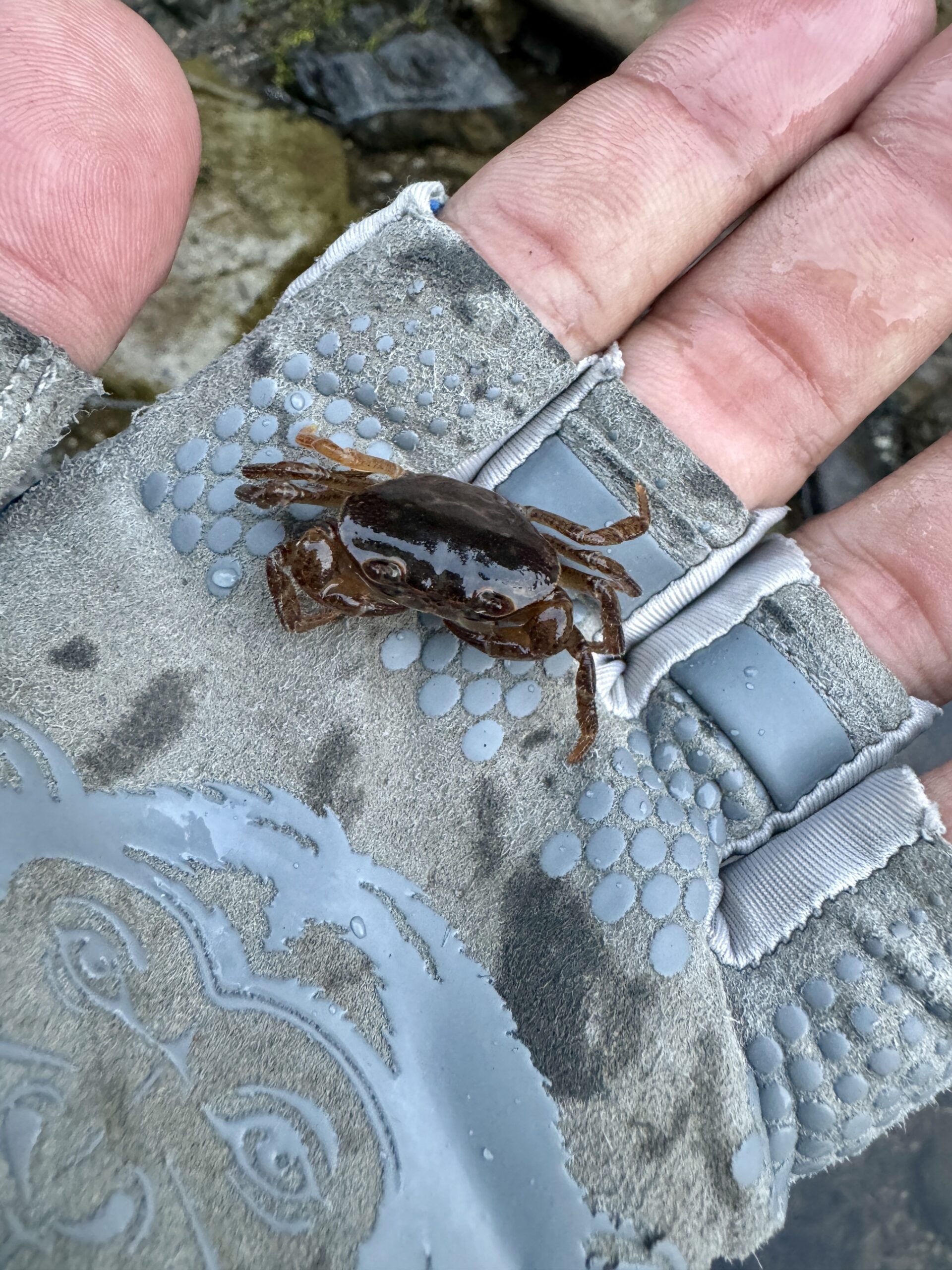 渓流ルアー釣り