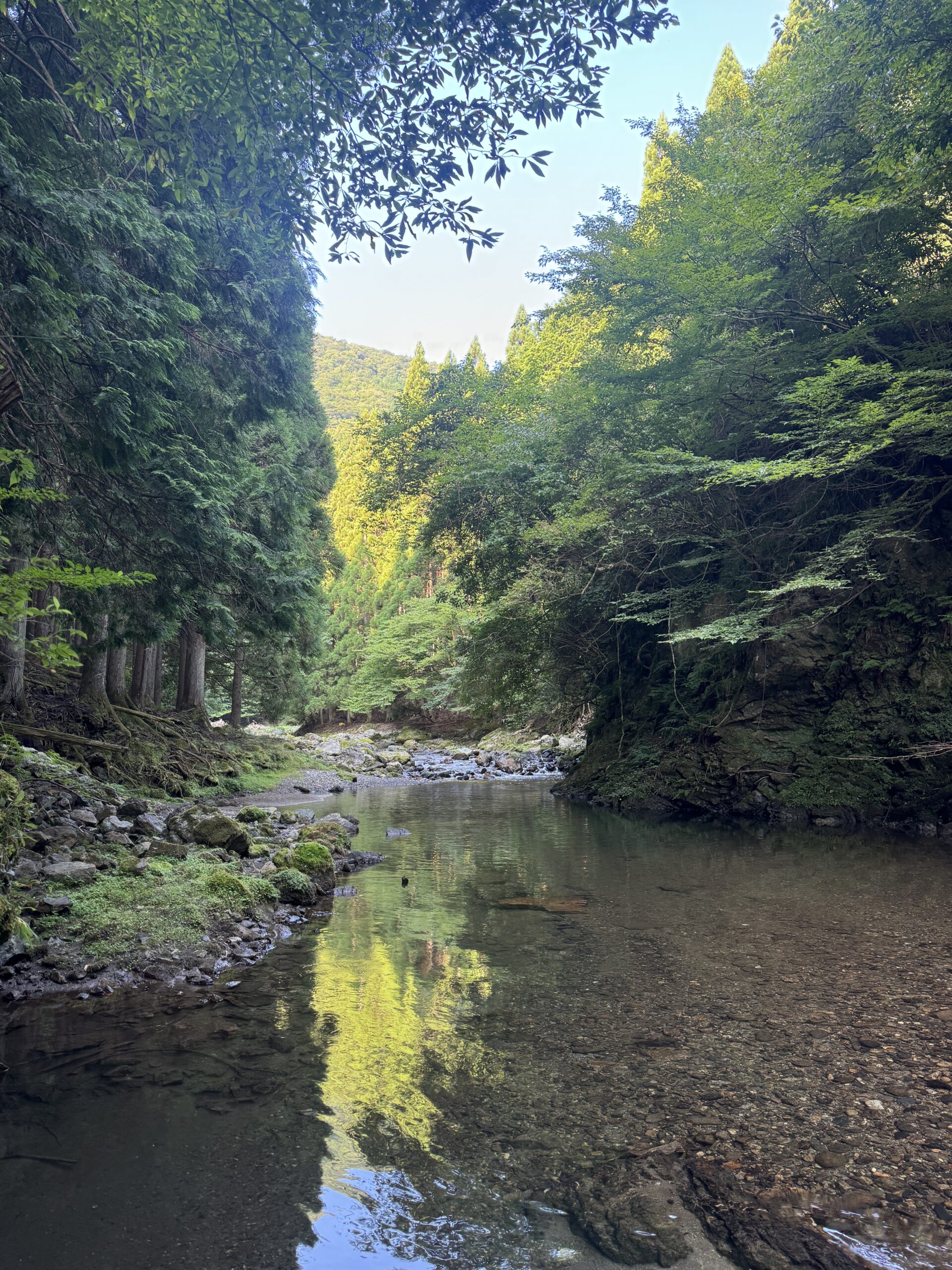 渓流ルアー釣り