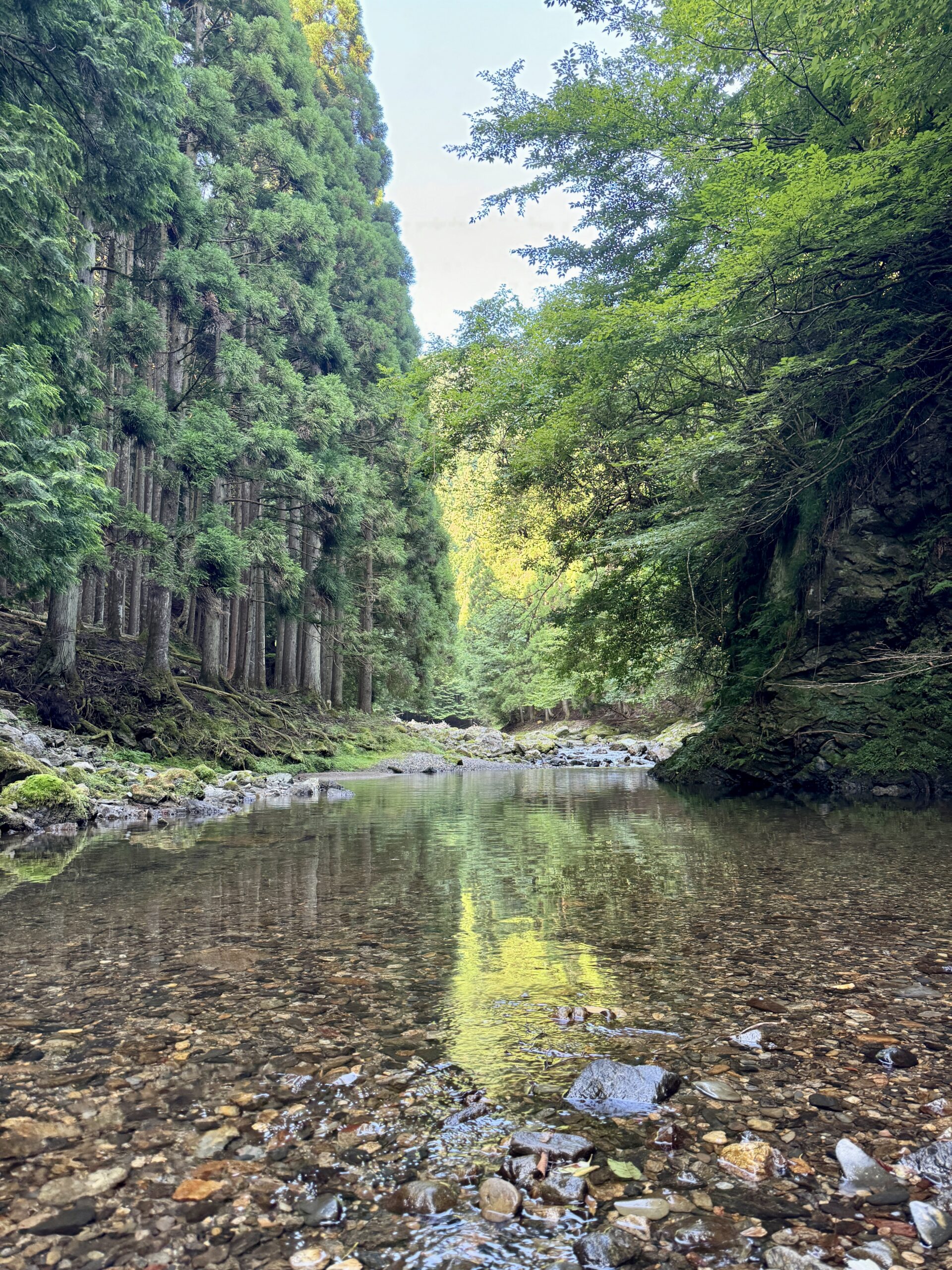 渓流ルアー釣り