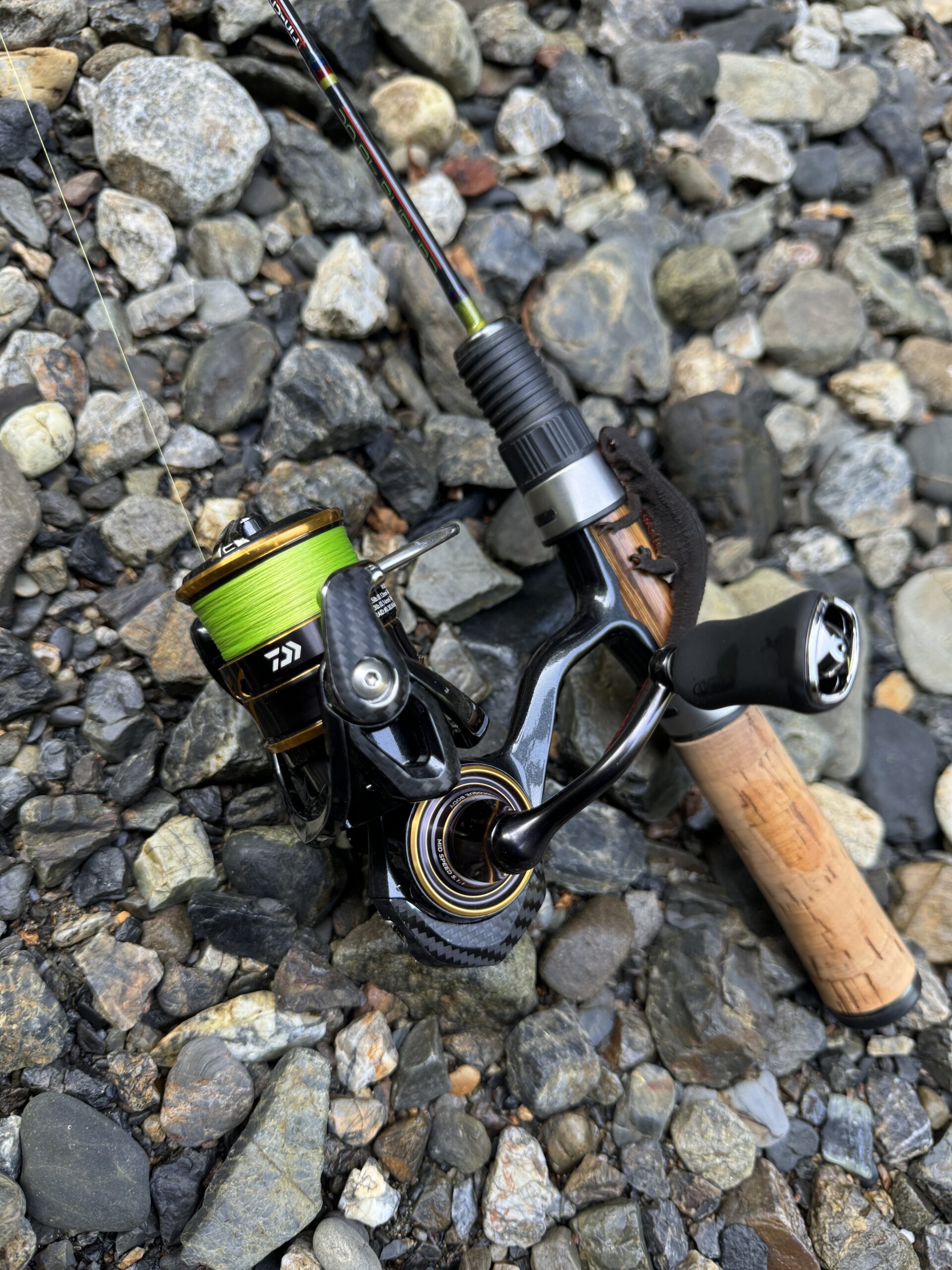 渓流ルアー釣り