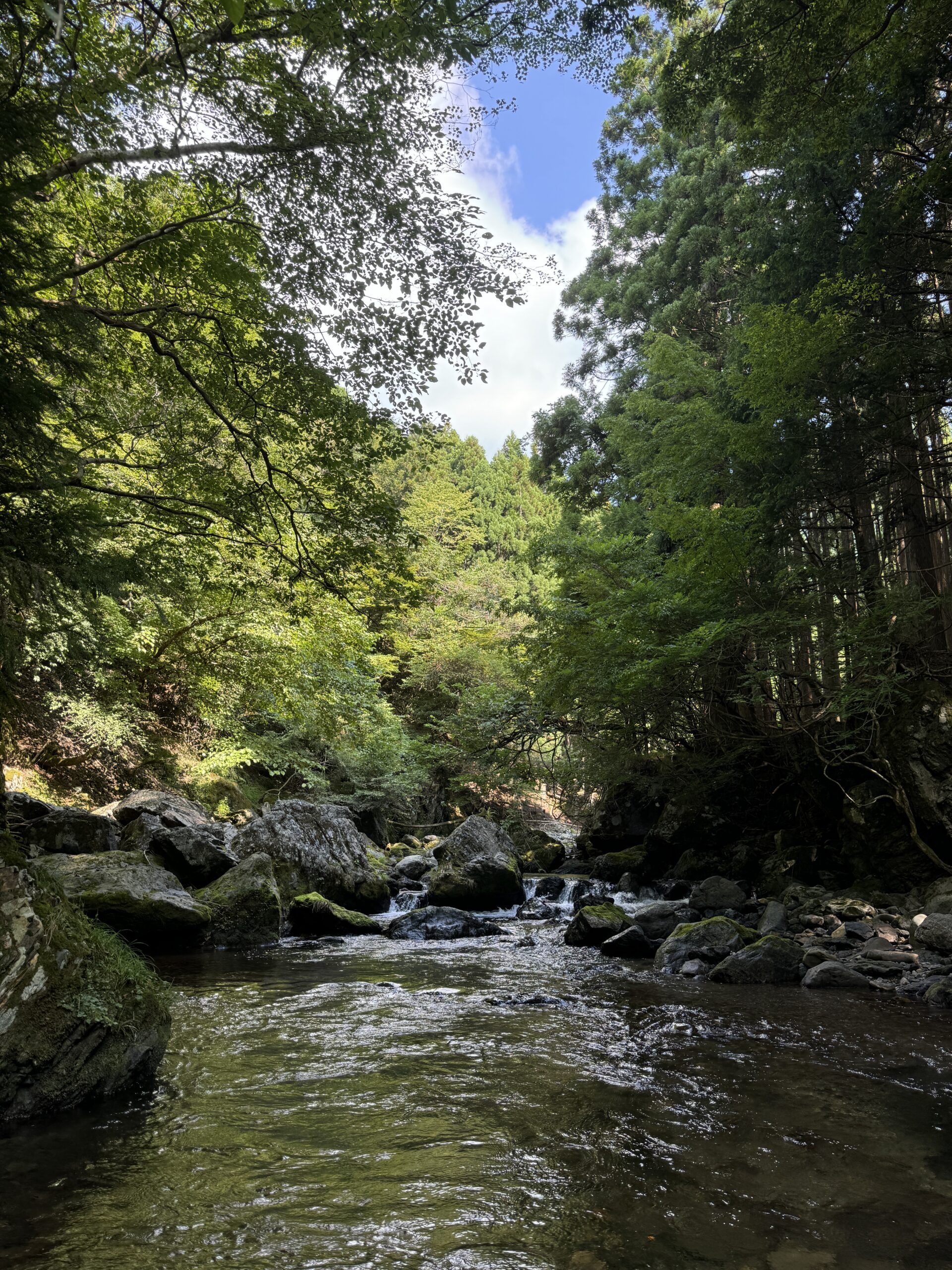 渓流ルアー釣り
