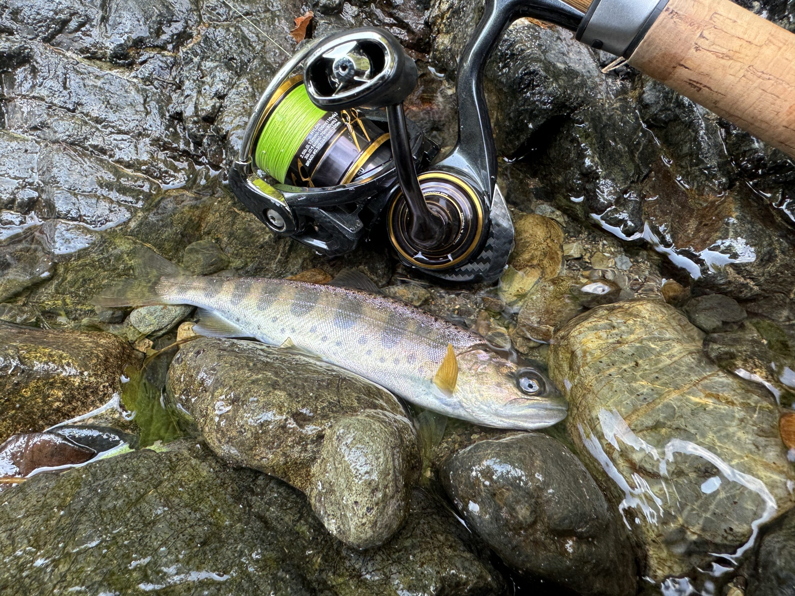 渓流ルアー釣り