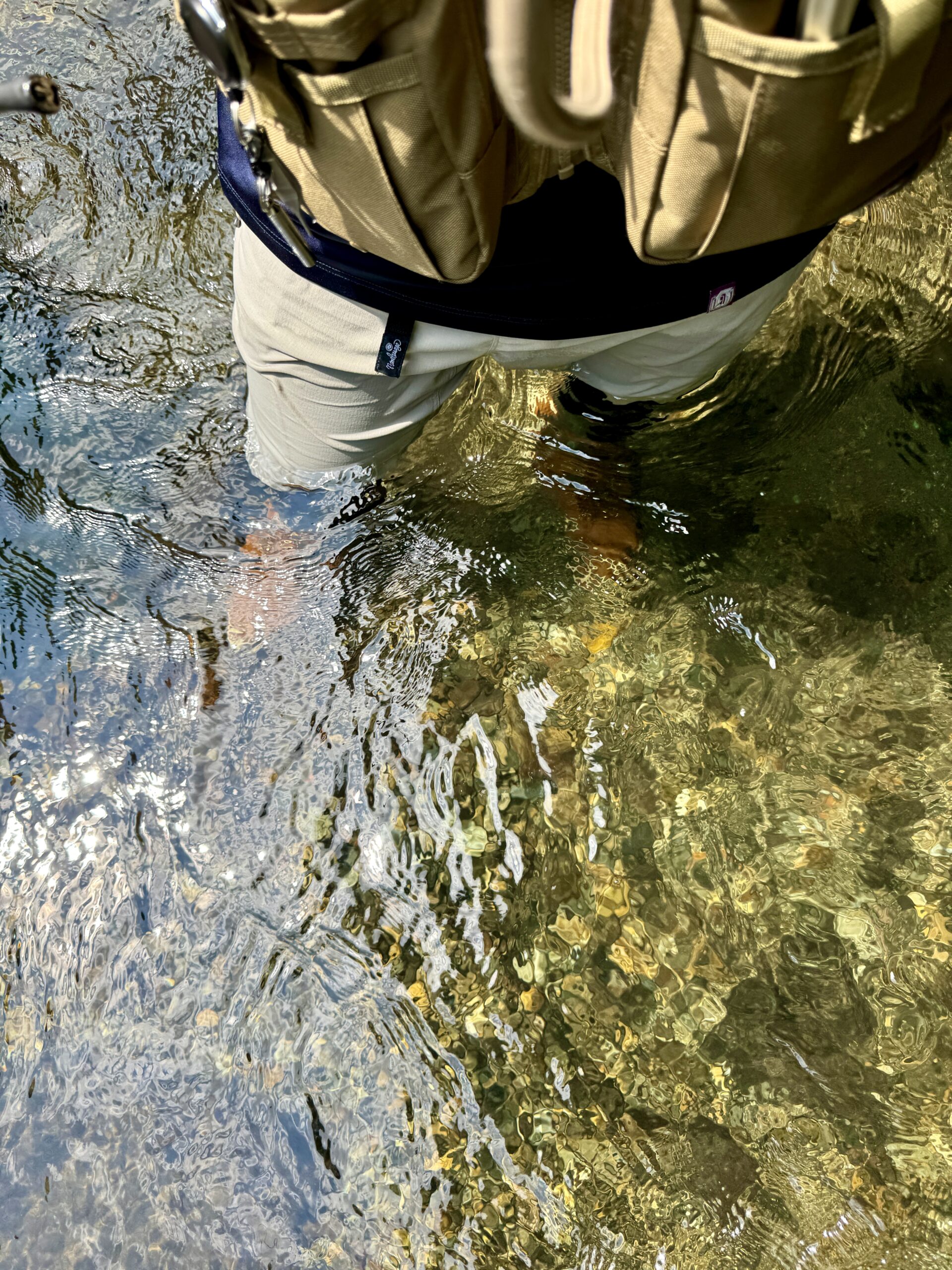 渓流ルアー釣り
