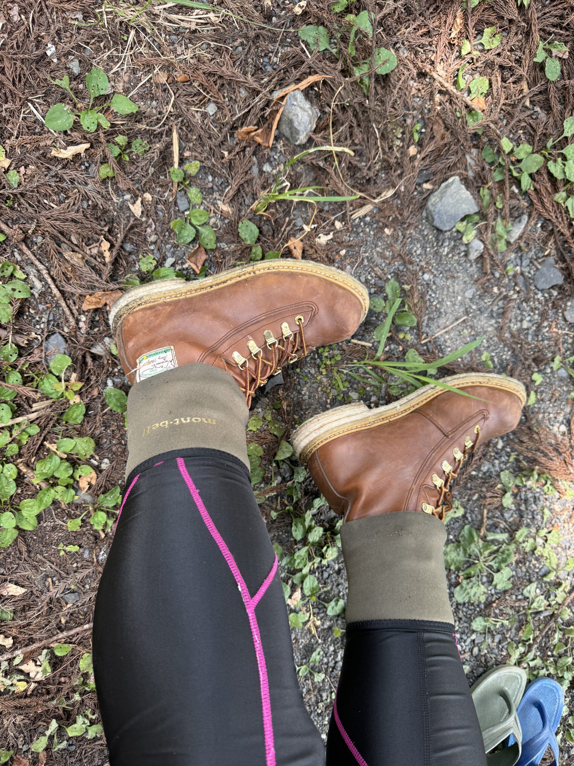 渓流ルアー釣り