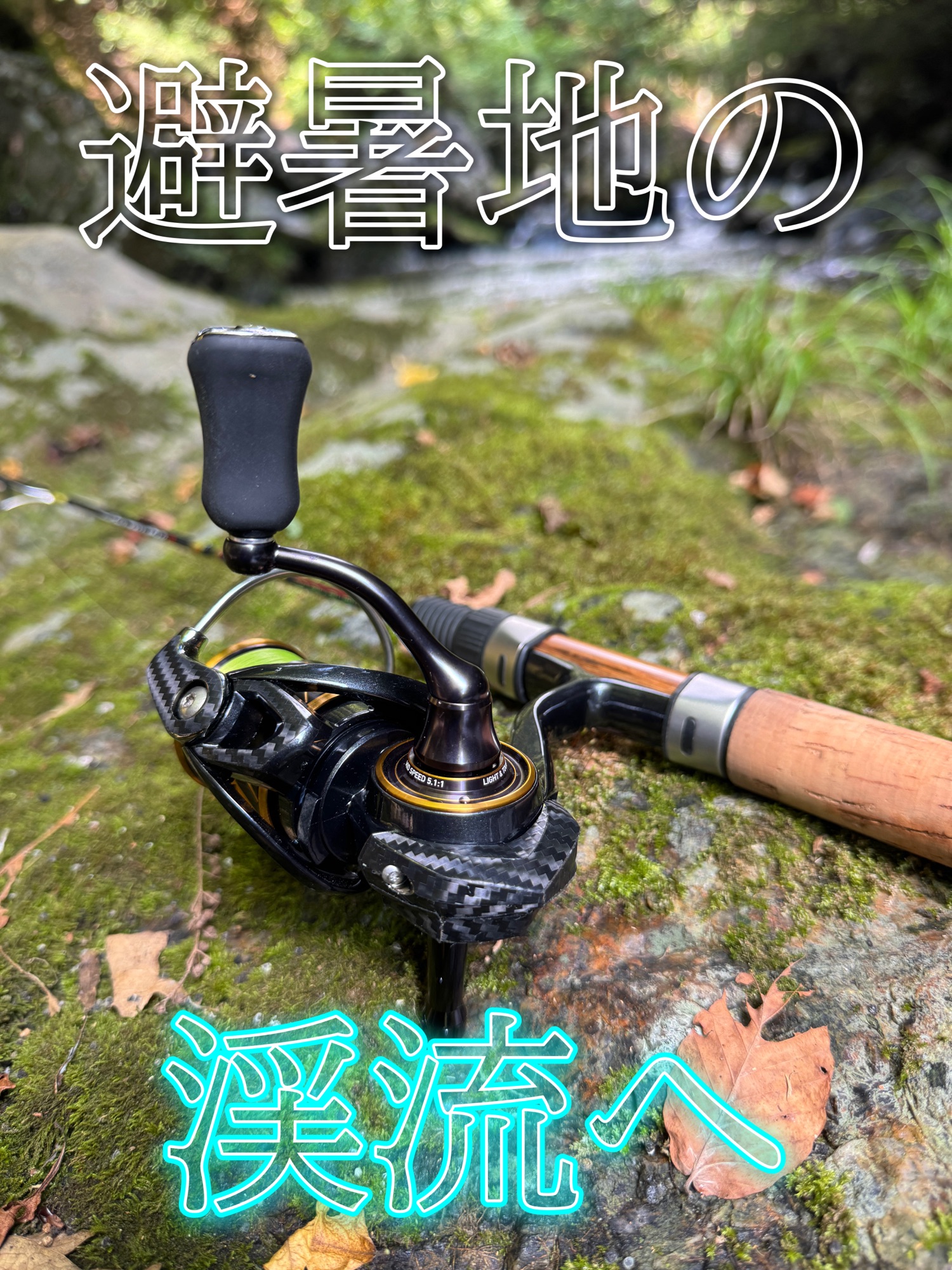 渓流ルアー釣り