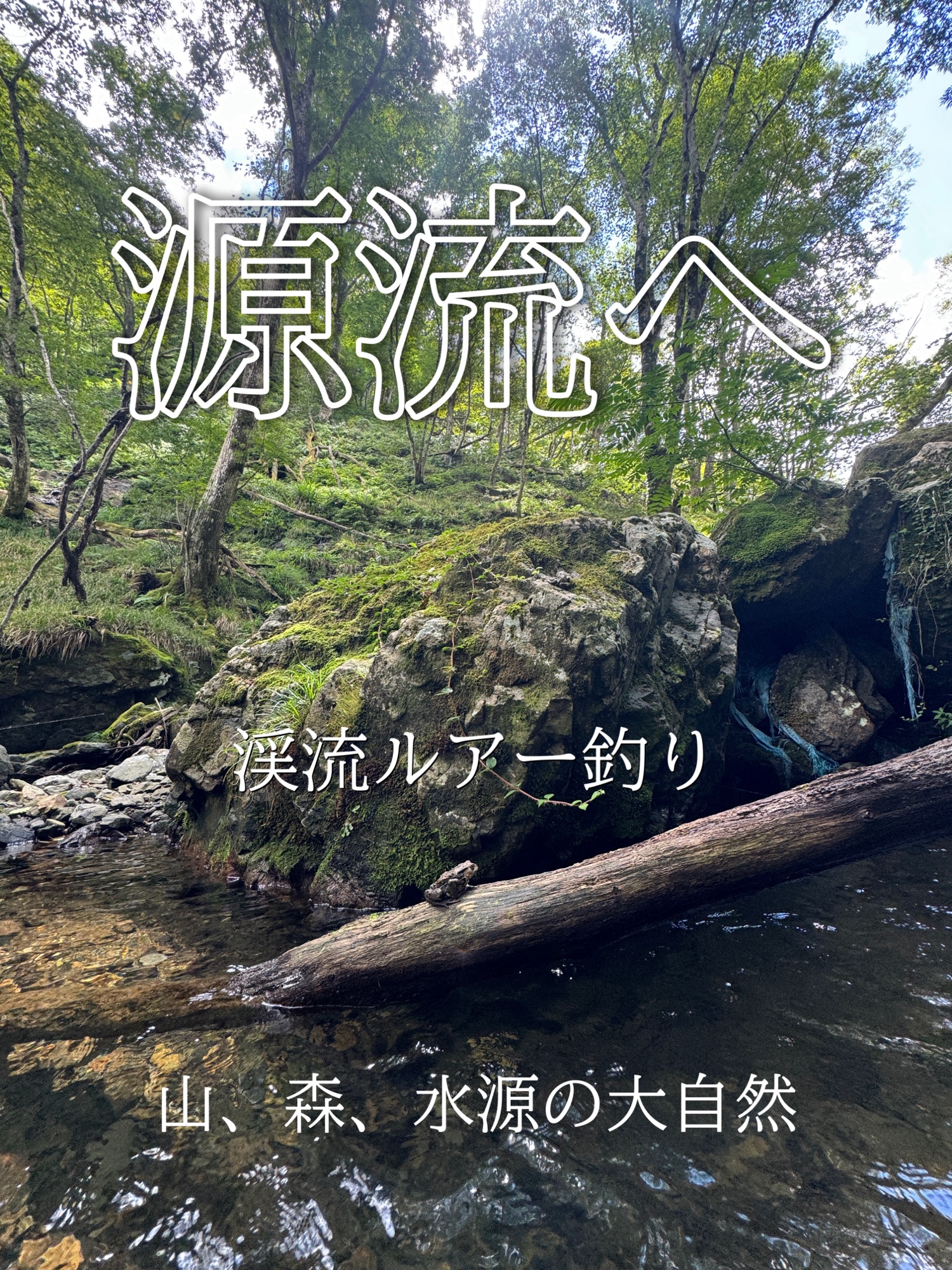 渓流ルアー釣り