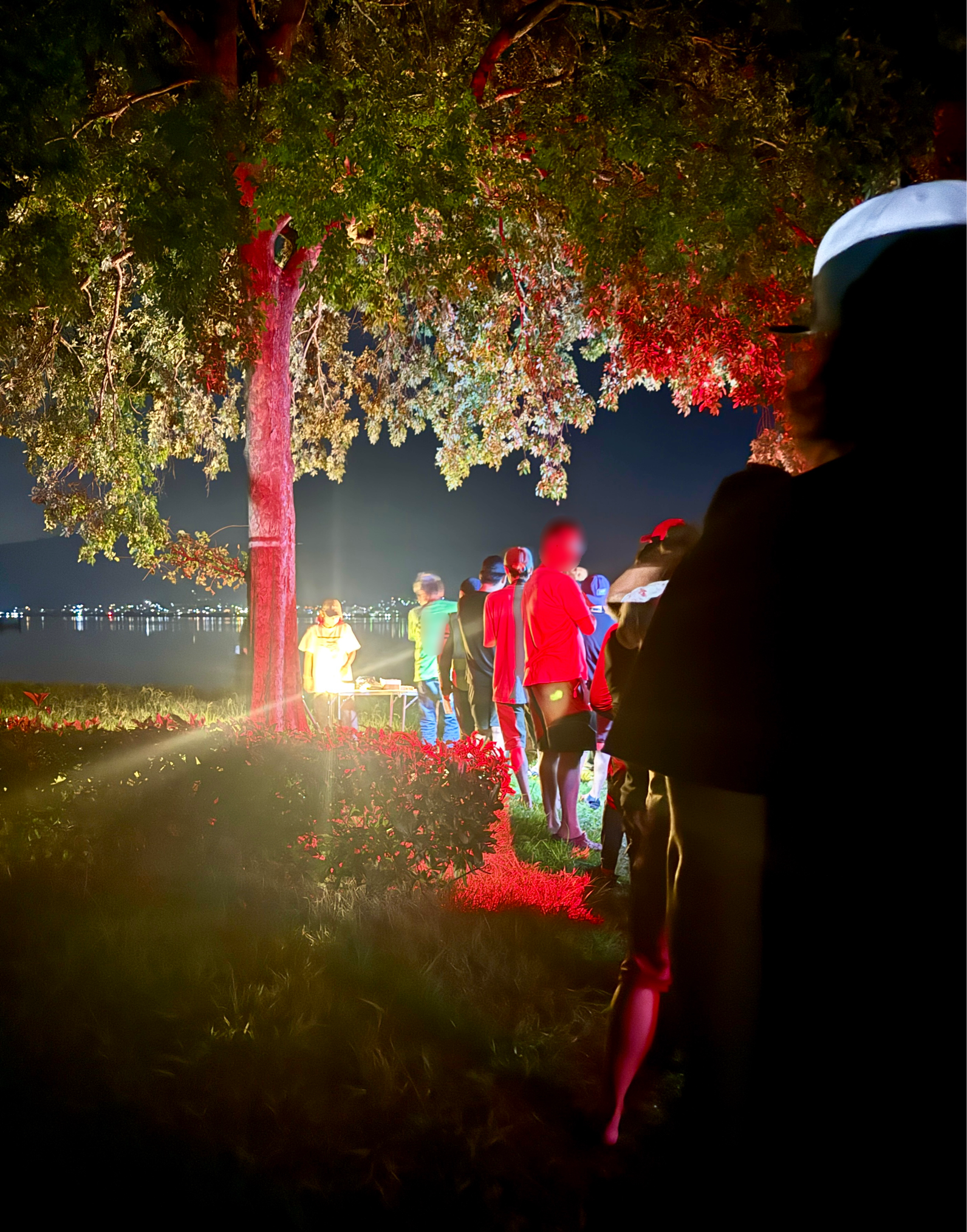 トップウォーター