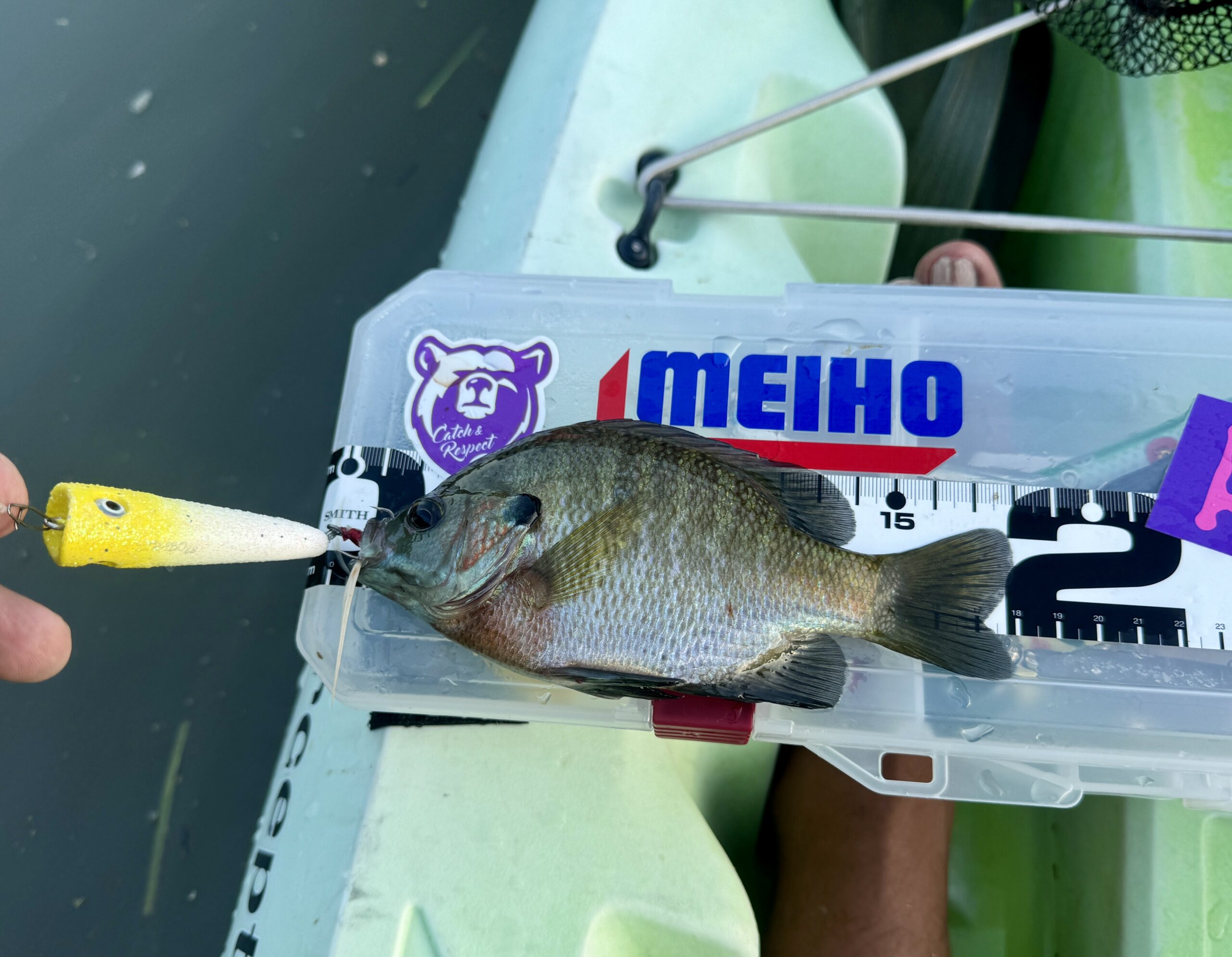 タックルボックス