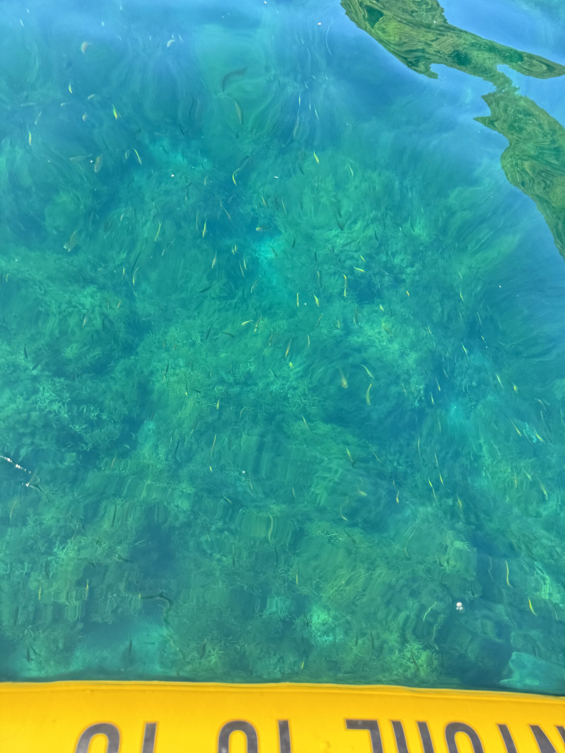 SUPフィッシング