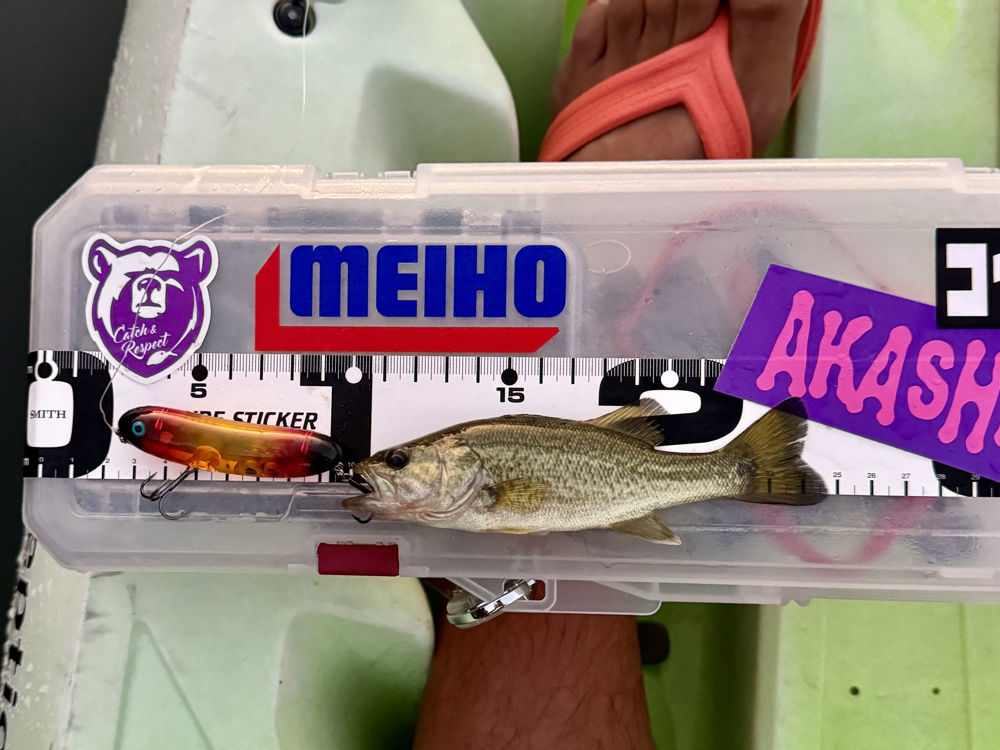 カヤック バス釣り