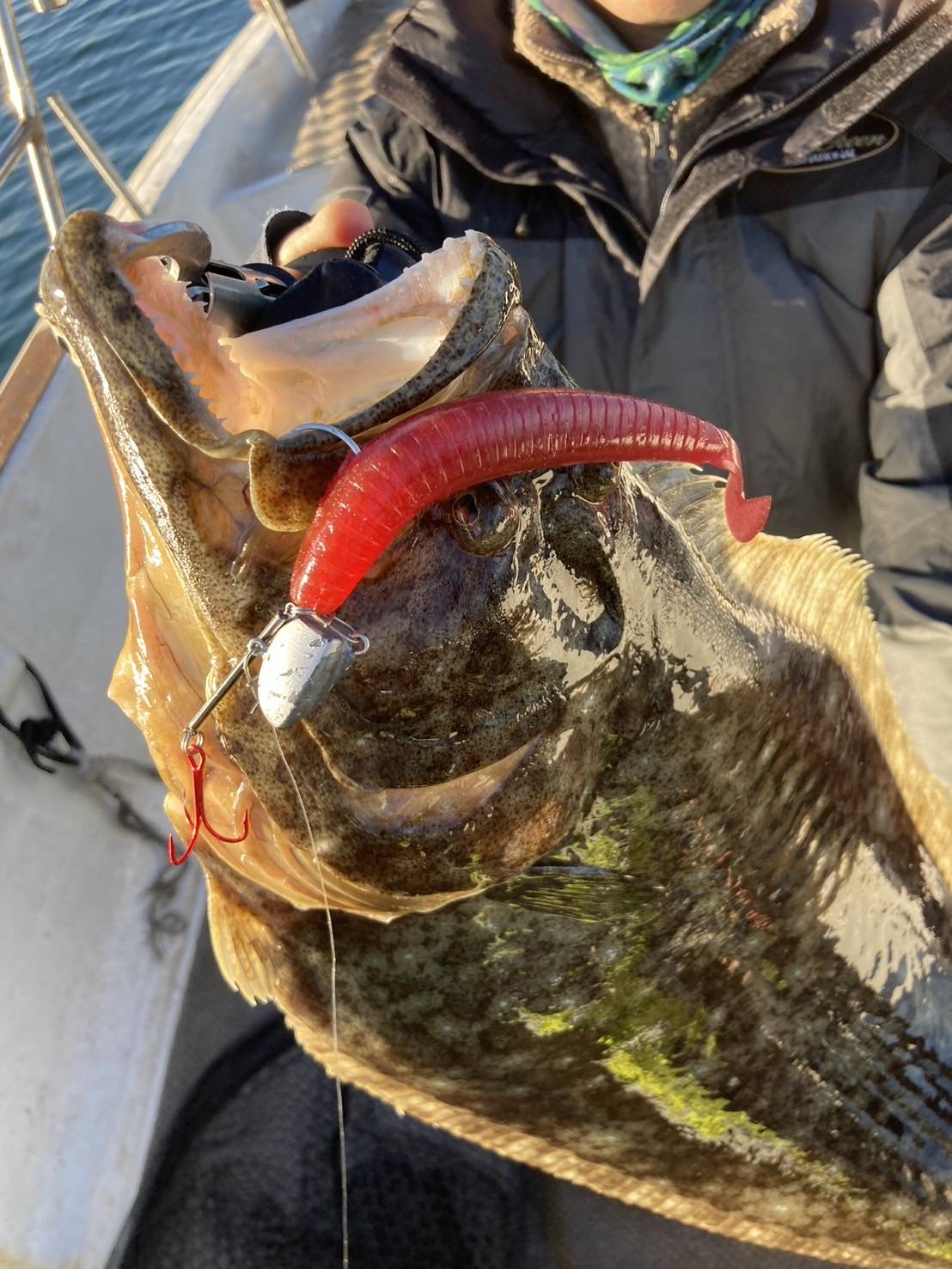 ヒラメをワームで釣る