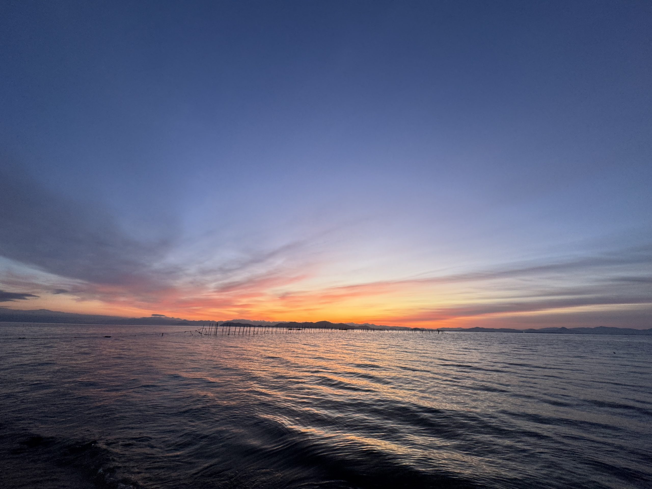 バスフィッシング