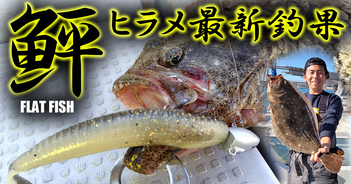 ヒラメ釣果情報バナー