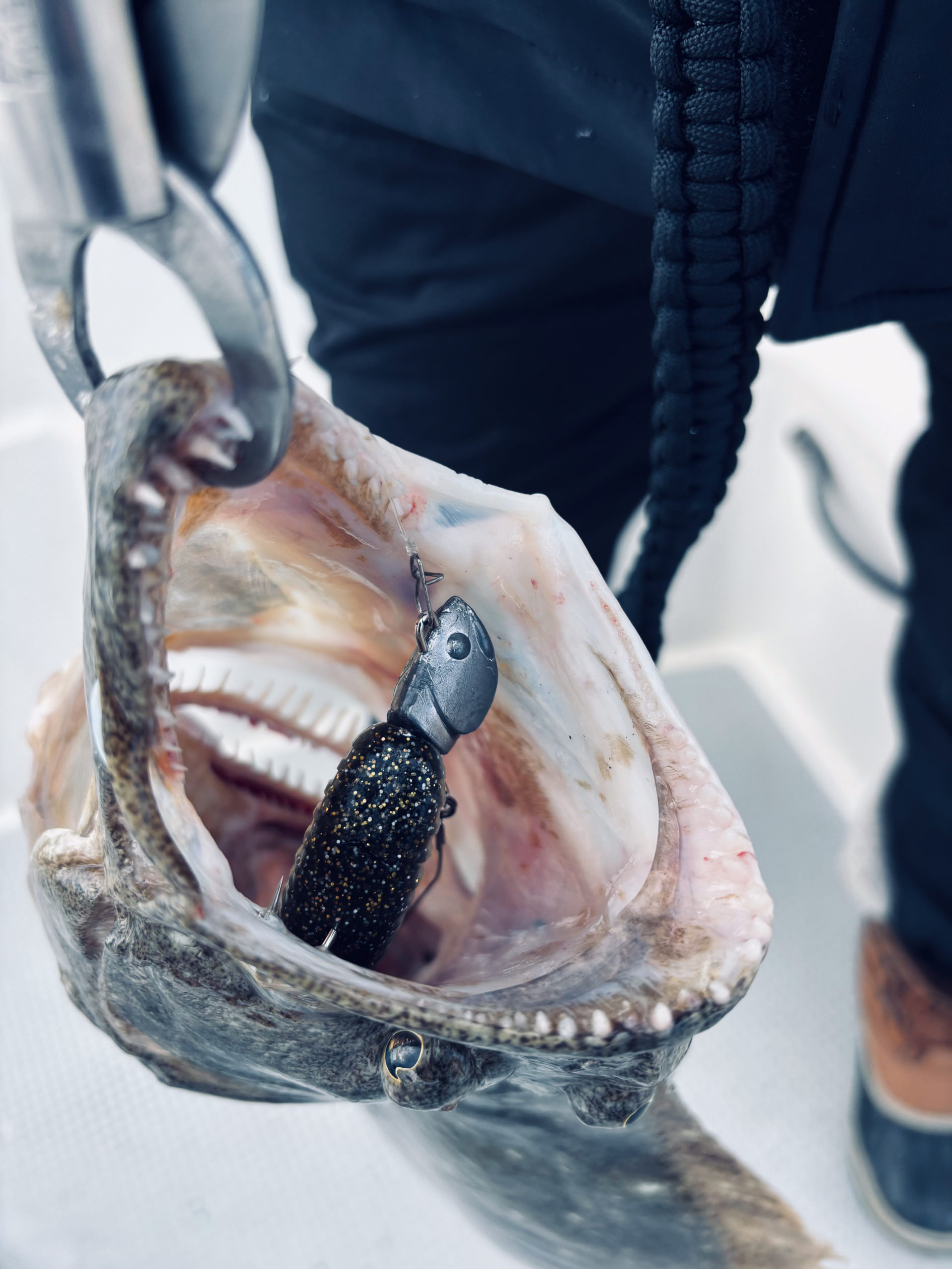 香川県ヒラメ釣り