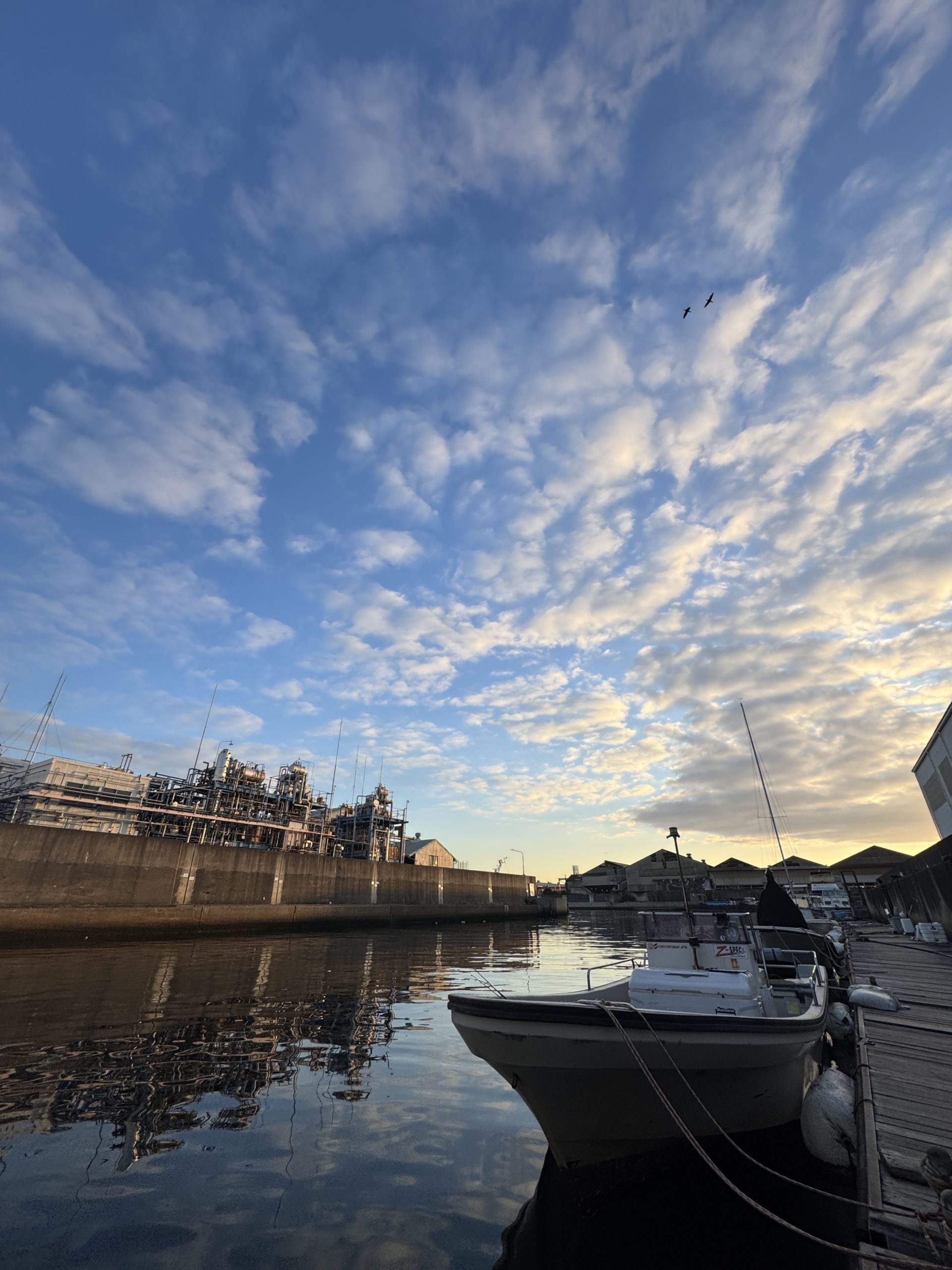 ボートシーバス