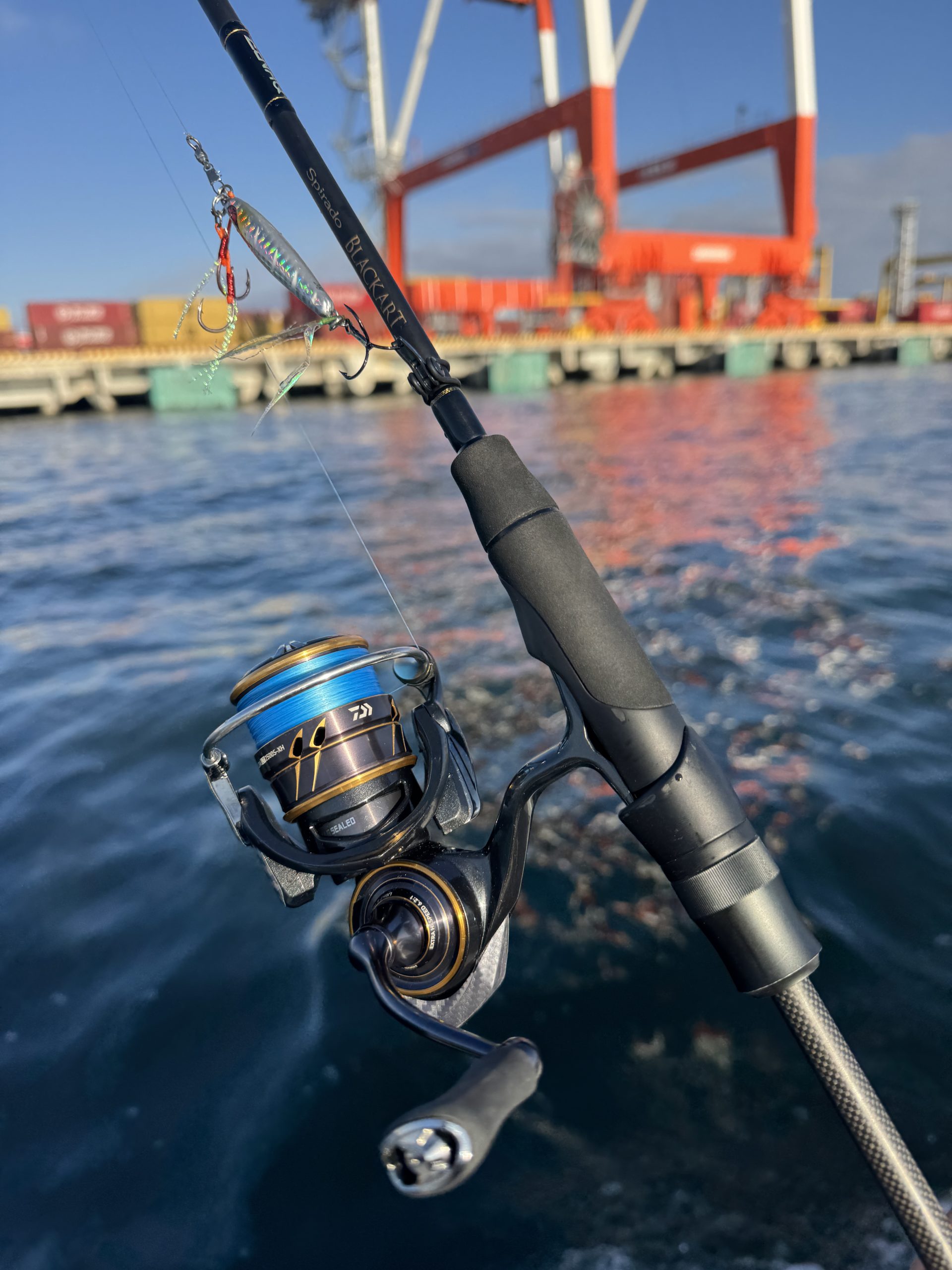 ボートシーバス