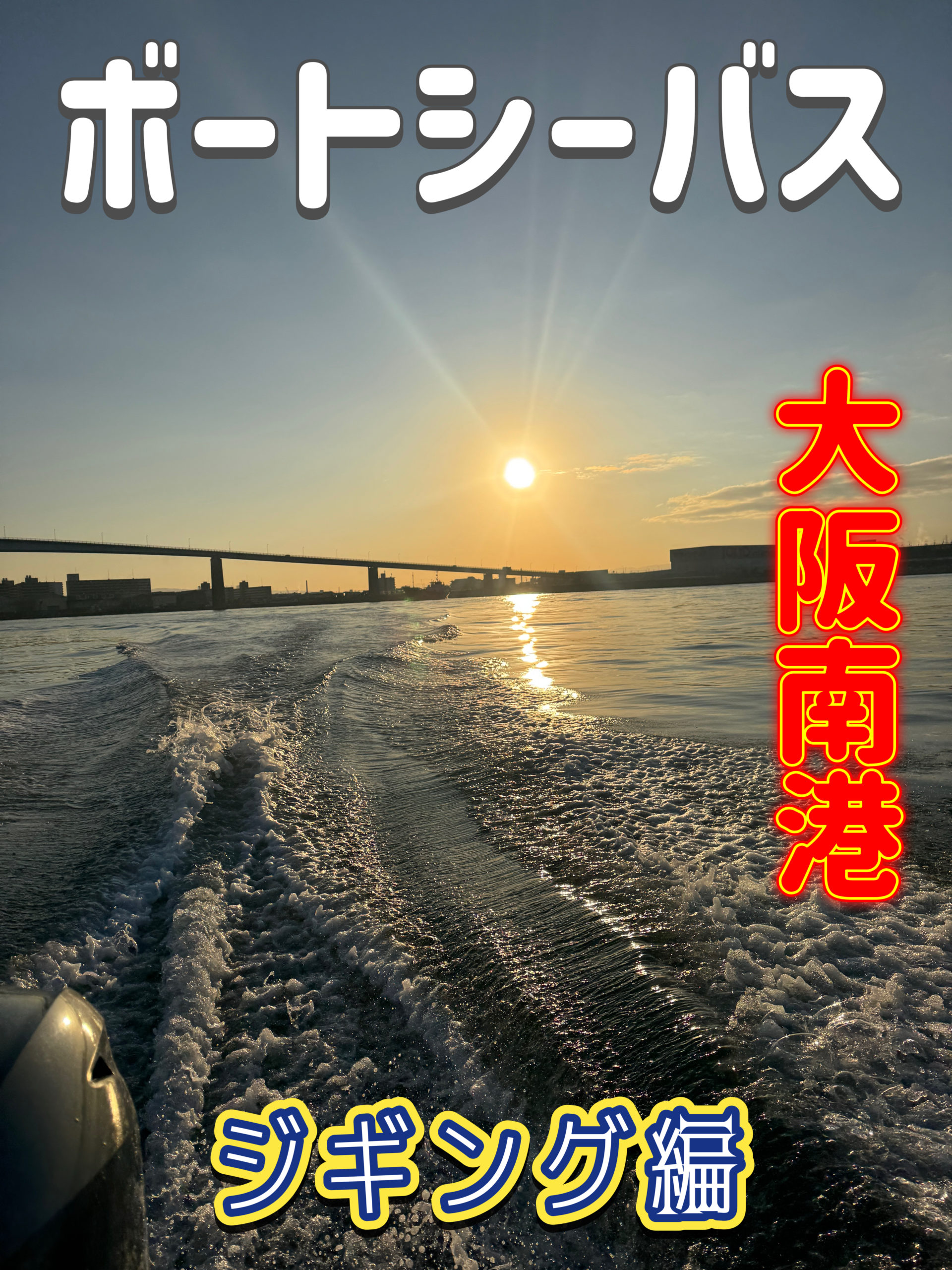 ボートシーバス