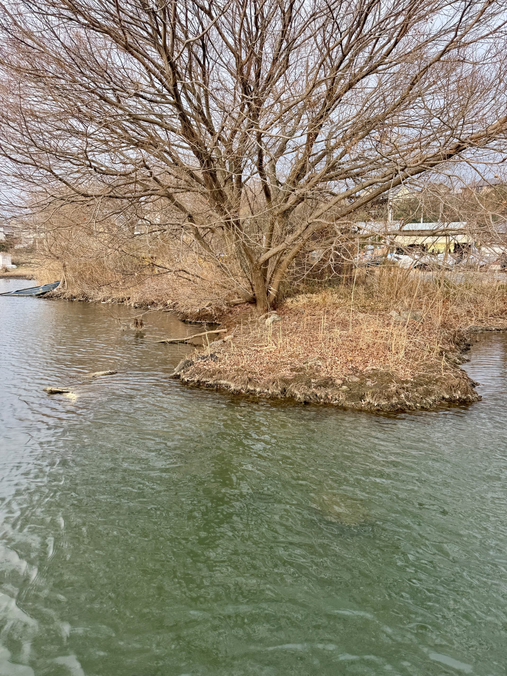 バスフィッシング