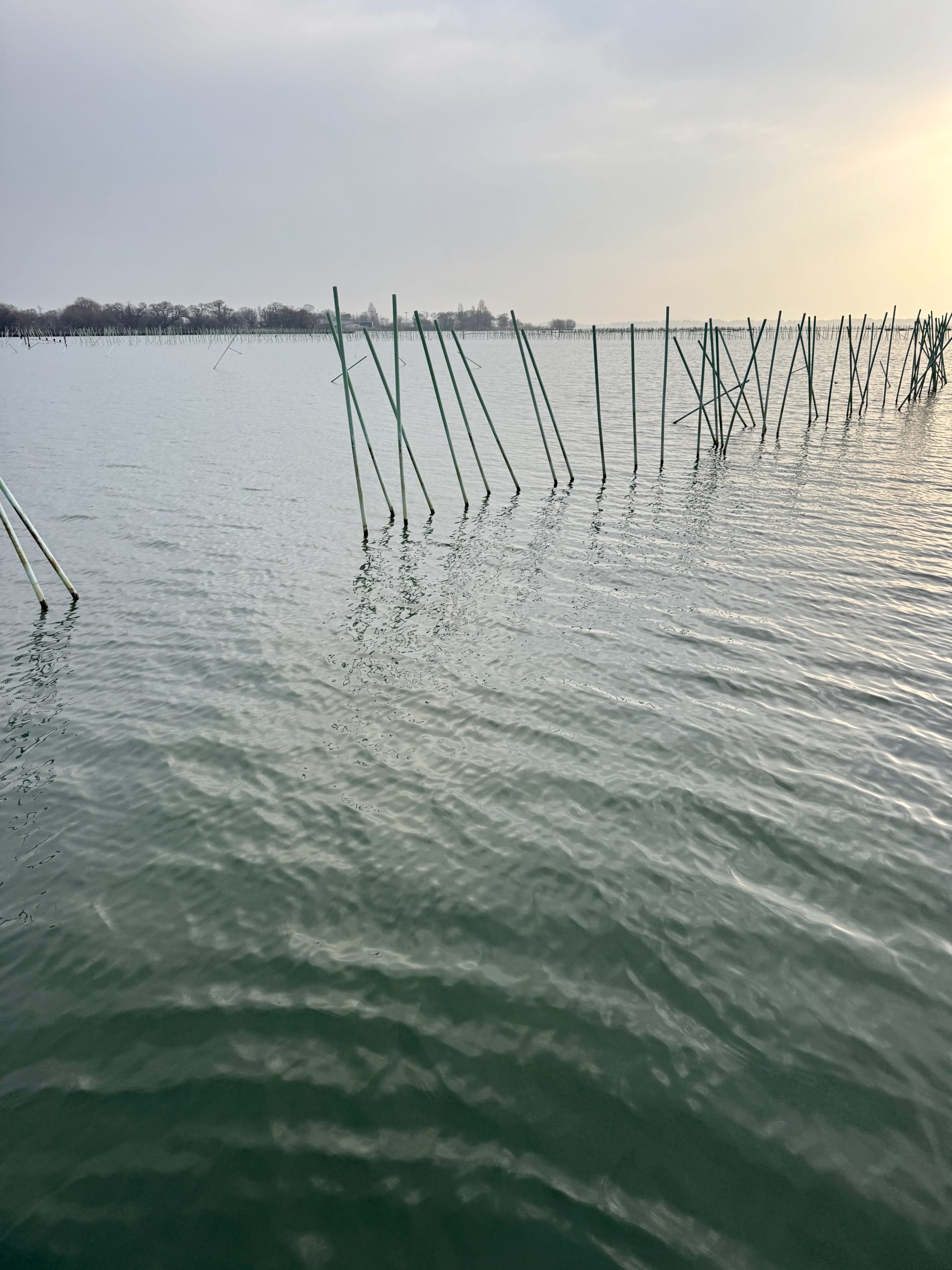 バスフィッシング