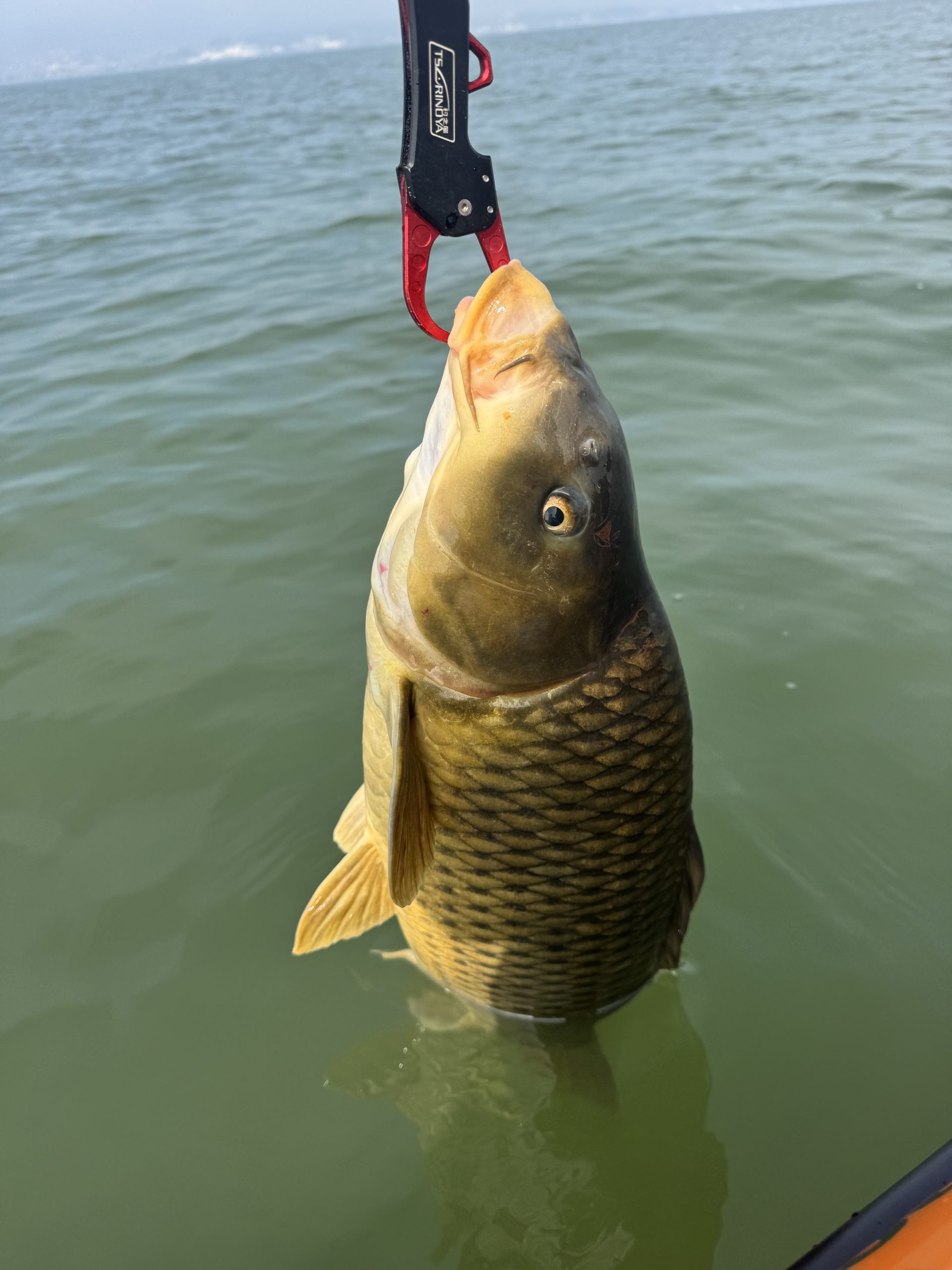 琵琶湖シャロー