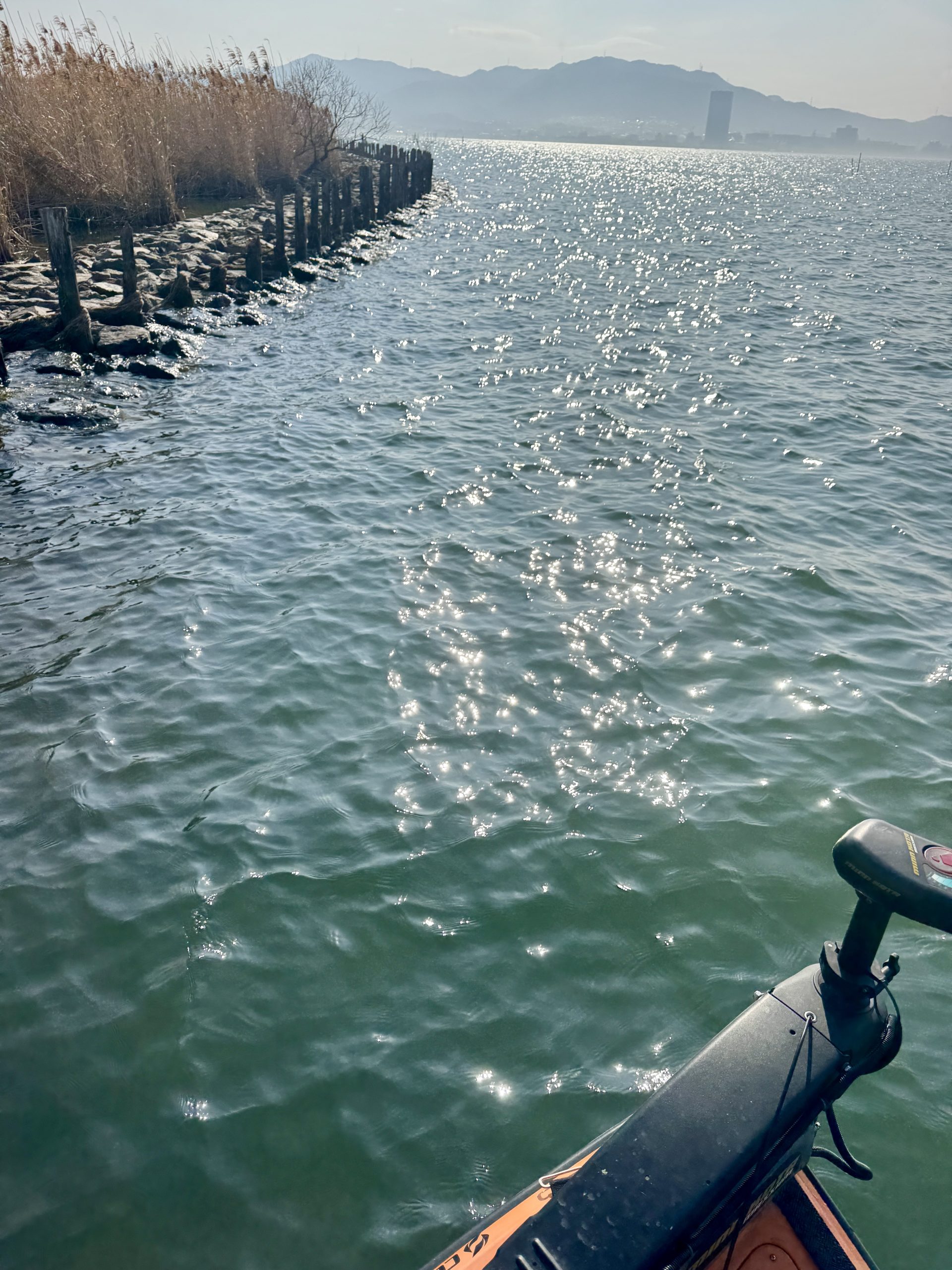 琵琶湖シャロー