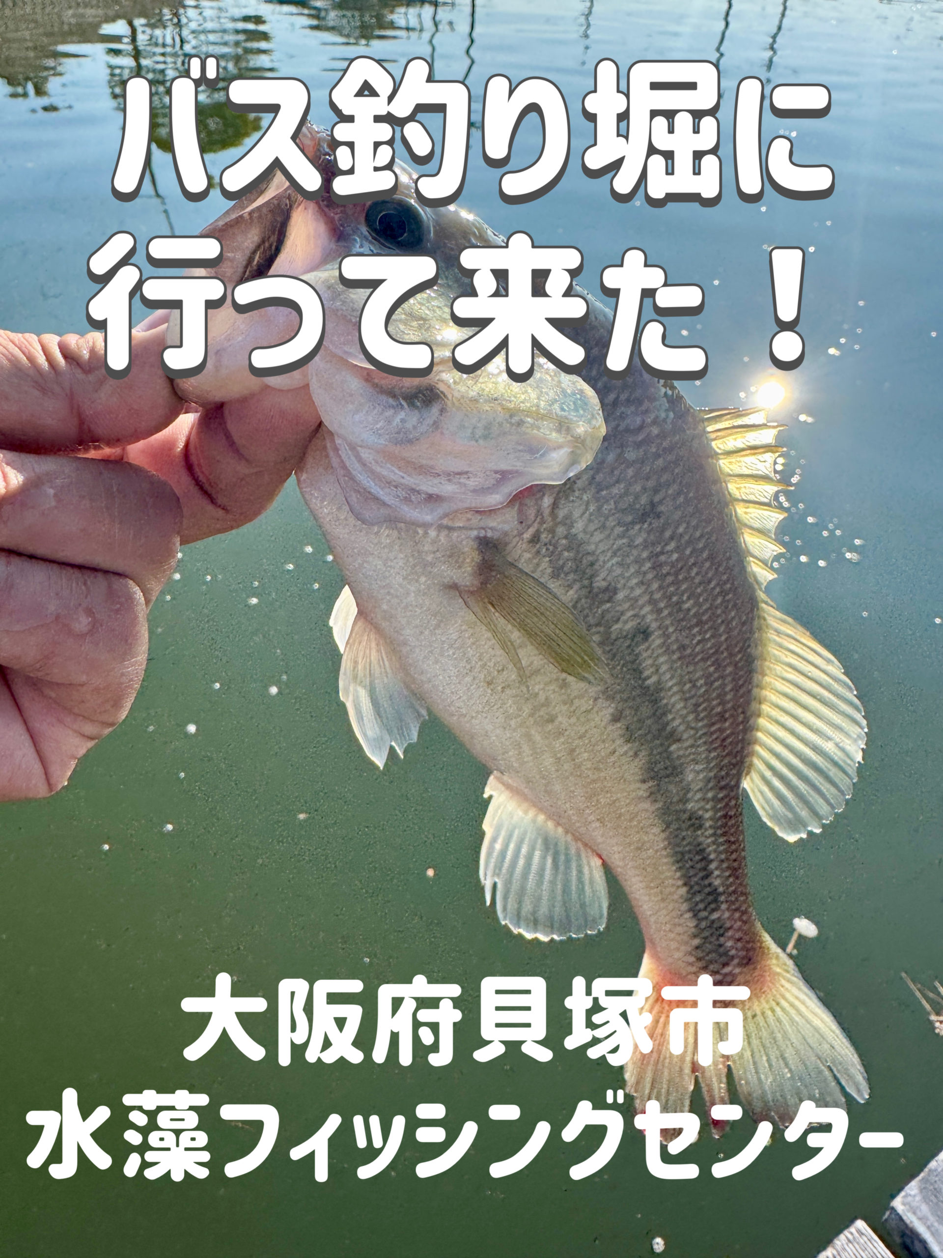 バス釣り堀