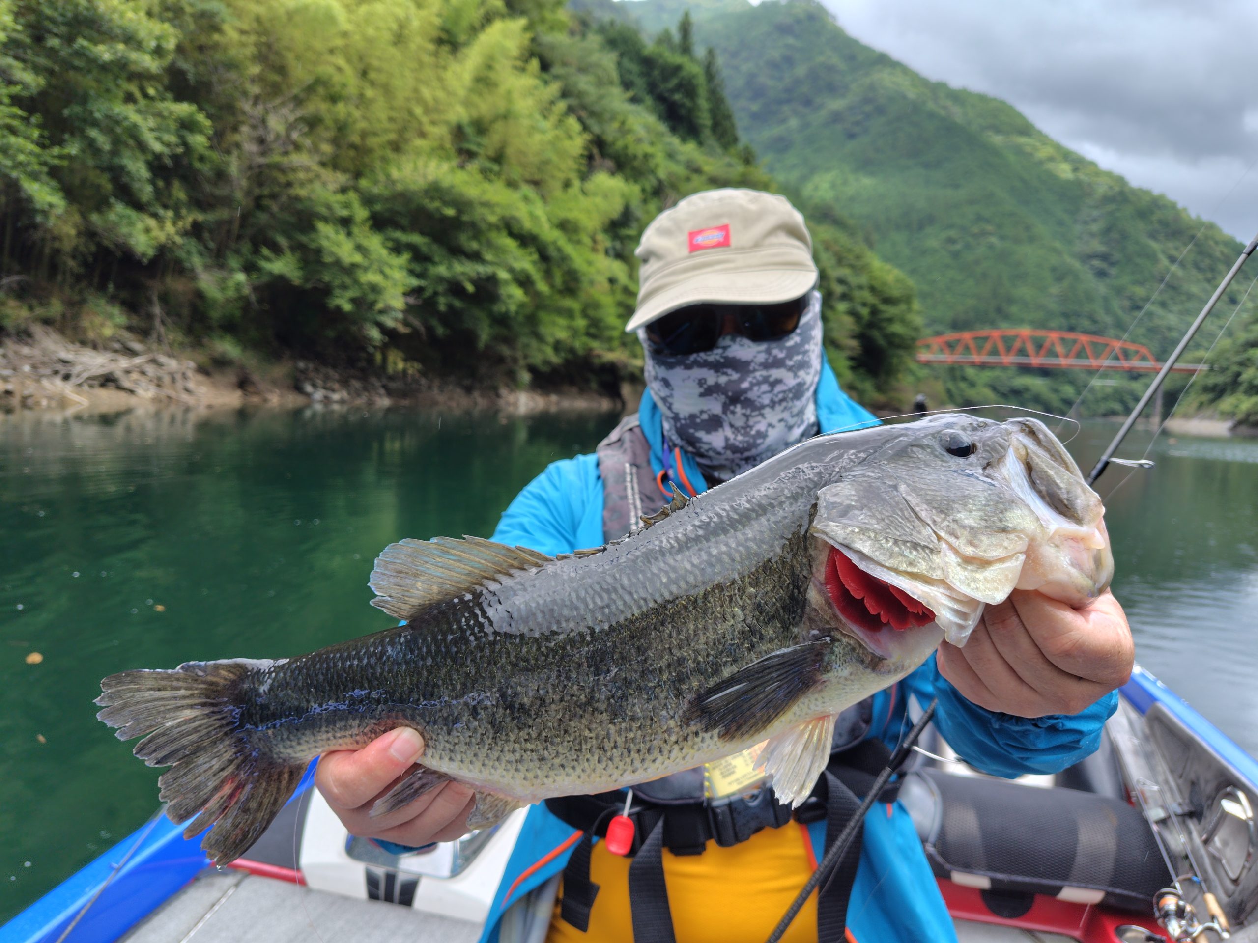 早明浦ダムバスフィッシング