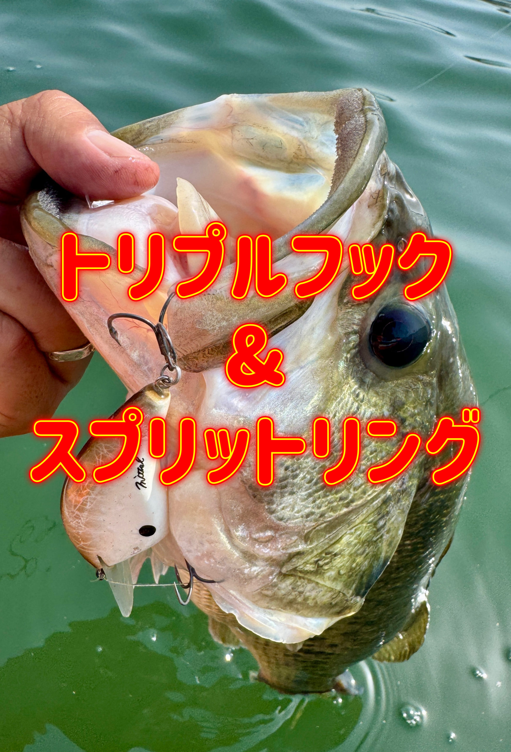 トリプルフック