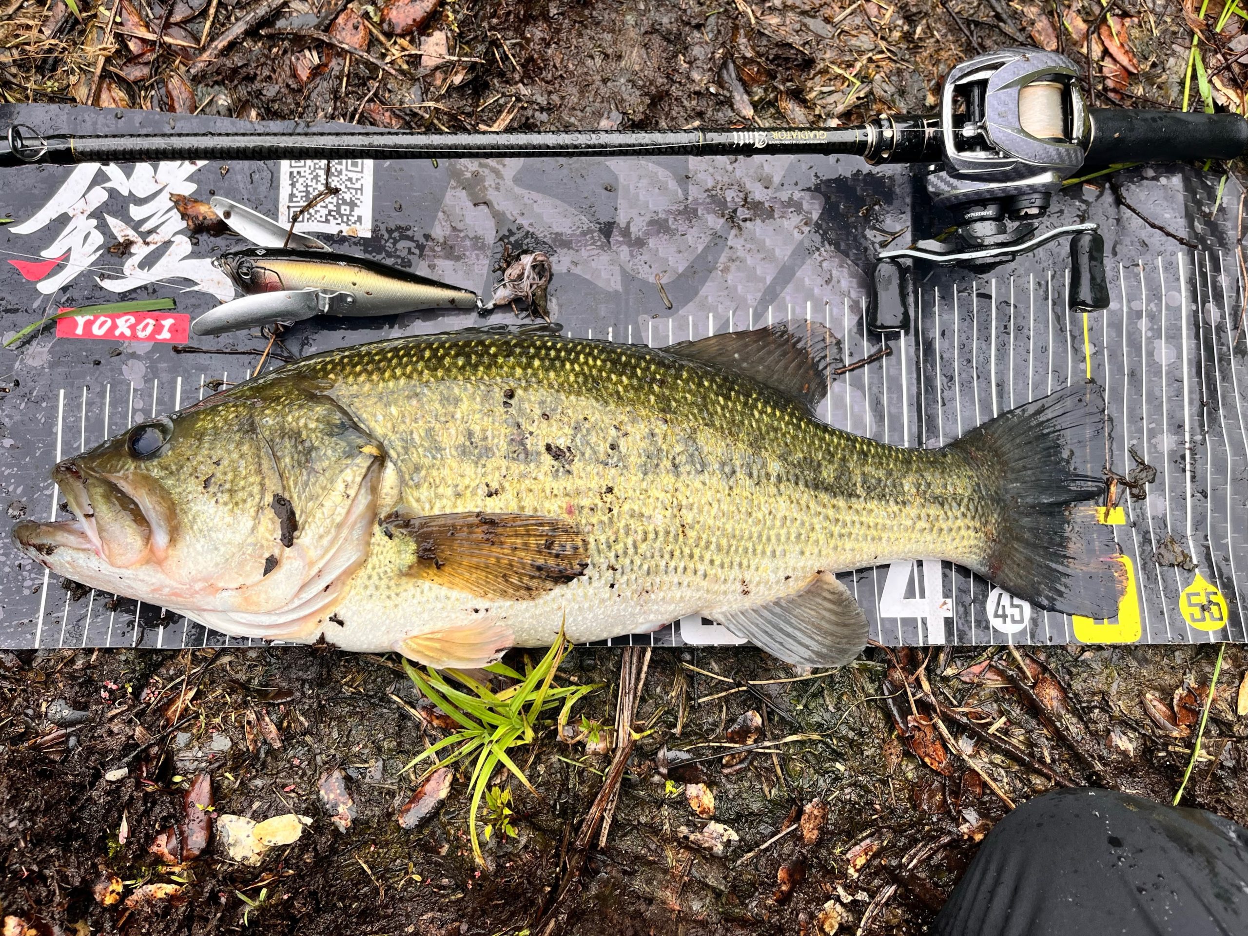 【府中湖×クローラーベイト】