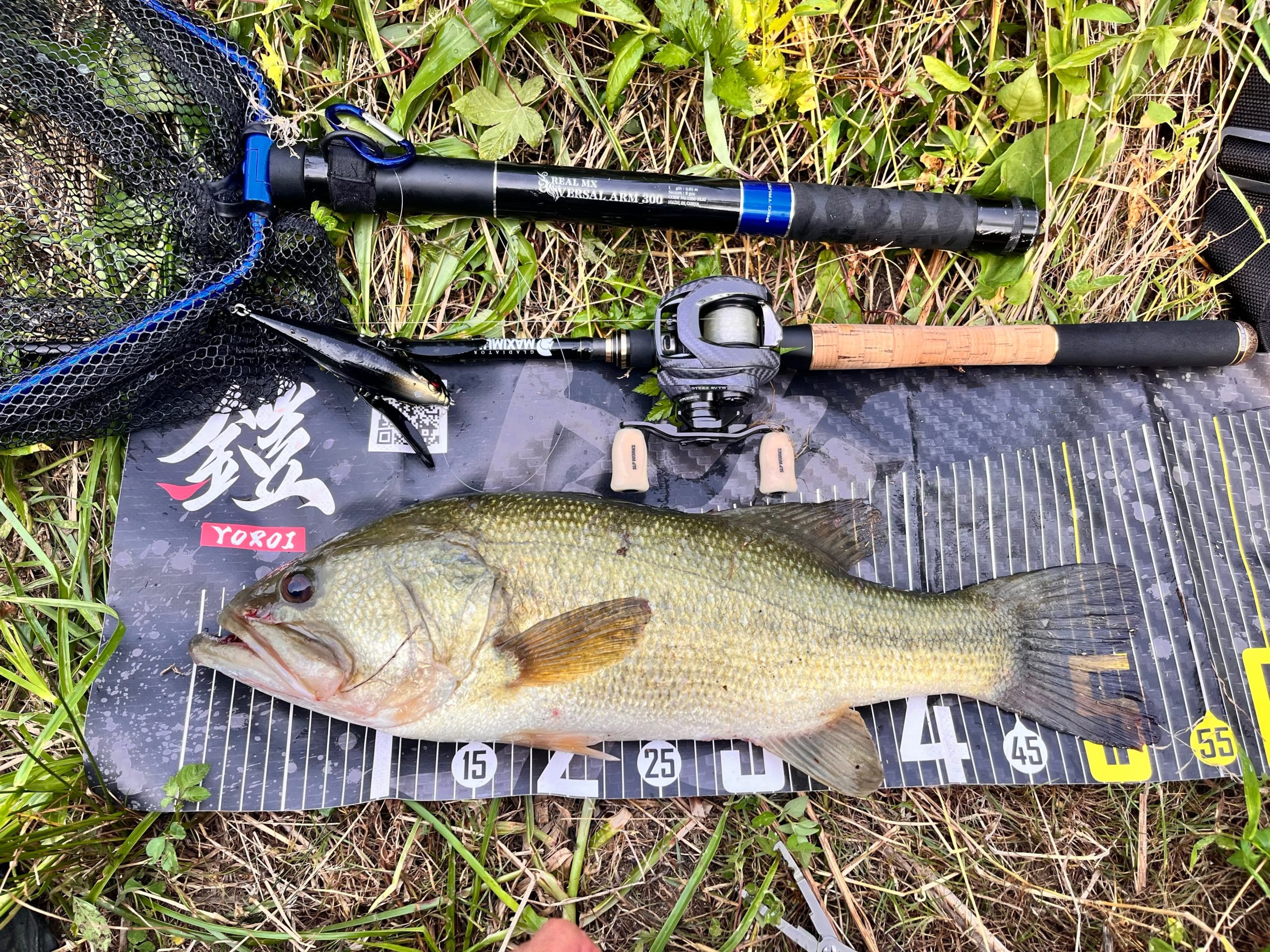 【府中湖×夏】