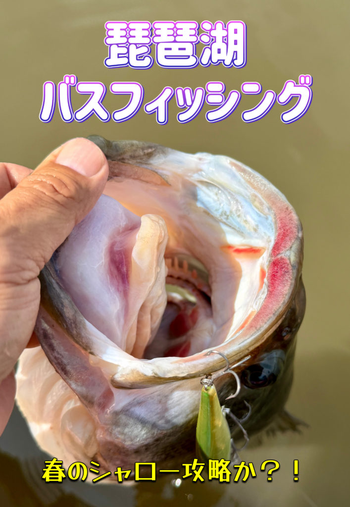 琵琶湖　バスフィッシング