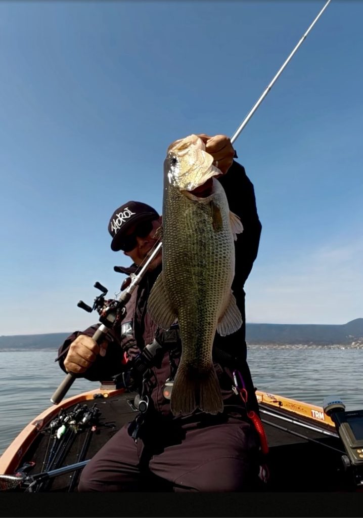 琵琶湖　バスフィッシング