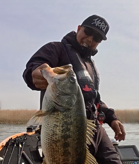 琵琶湖　バスフィッシング