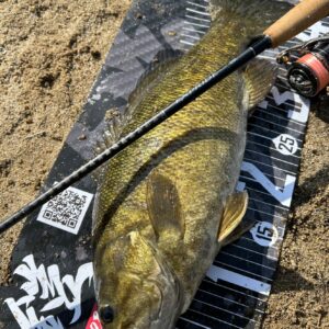 YOROI公式メジャー