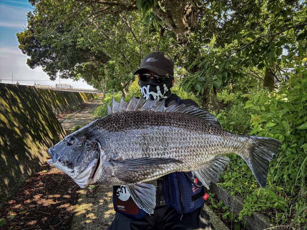 YOROIフィールドモニターボトムハンター安永勇勇